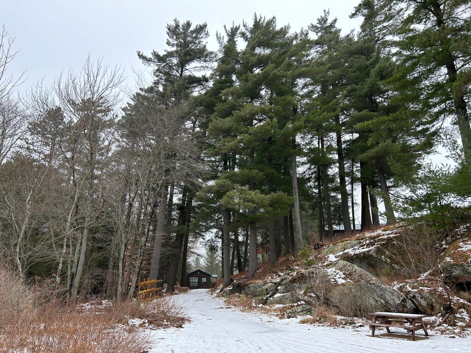 Long Lake Paddler'S Rest Lakeside Cabins And Motel מראה חיצוני תמונה